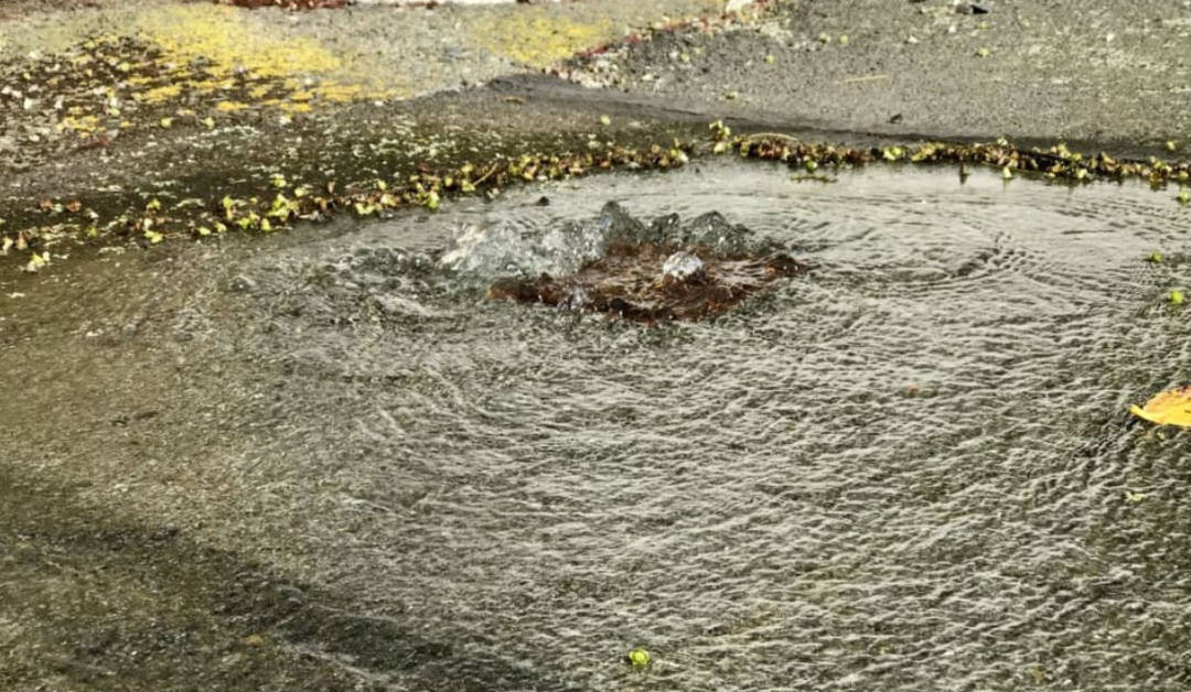 ‘Aupito fa’alētonu Wainuiomata ‘i le suāvai