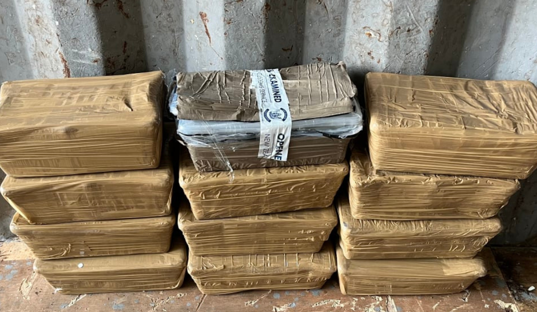 Fa’aaogā ‘aufaigāluega ‘i puipuiga ‘o tuā’oi ‘e fa’a’auala mai ai fuālā’au fa’asāina ‘i Niu Sila