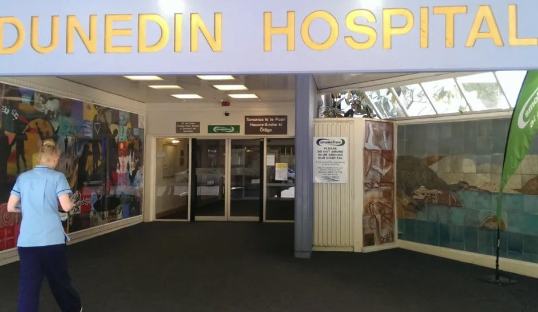 Faitau selau meafaigāluega ‘a le falema’i ‘i Dunedin ‘e fa’aletonu ‘ona fa’amamāina ‘i le tausaga