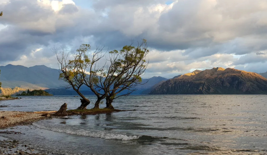 Silia ma le 300 talavou na fufusu ‘i Wānaka Park anapo