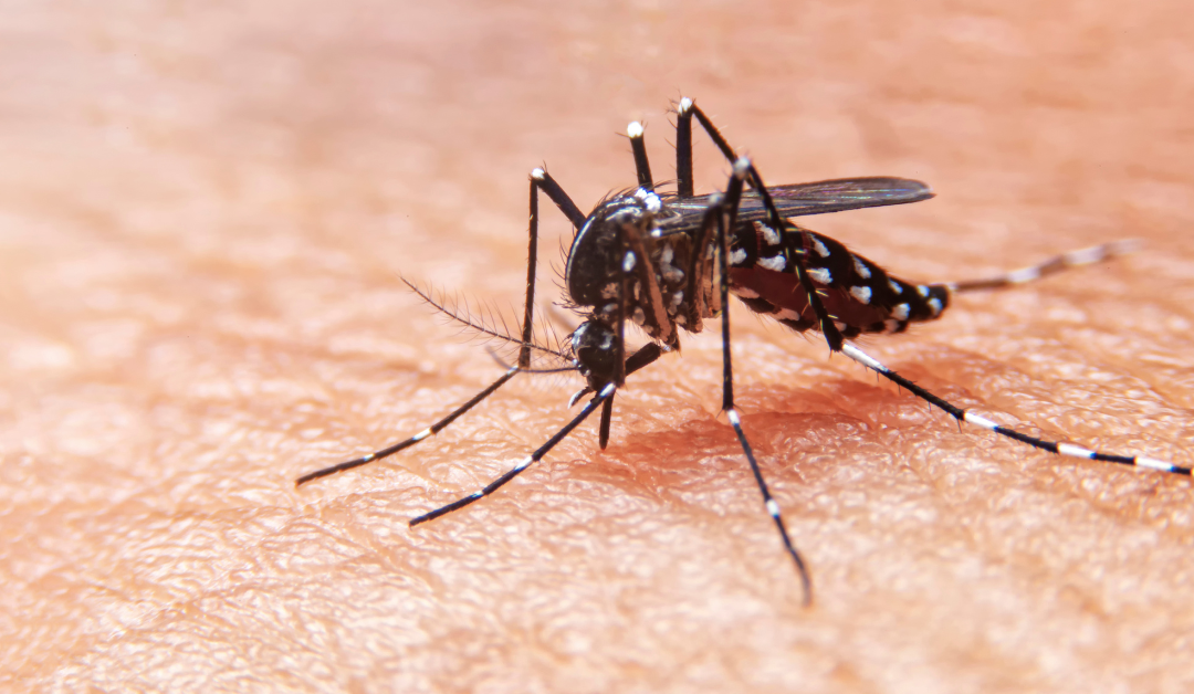 Maliu se tamaititi ā’oga ‘i Fiti ‘i le Dengue Fever