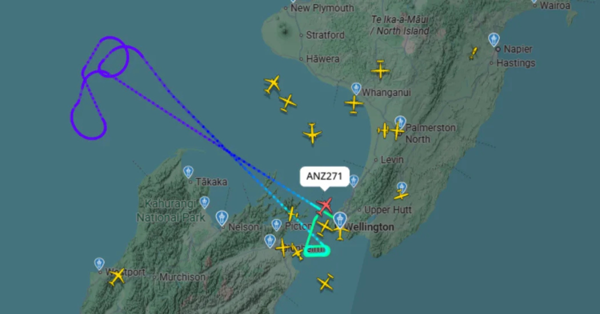 Air traffic control systems outage will be scrutinised, industry figure says