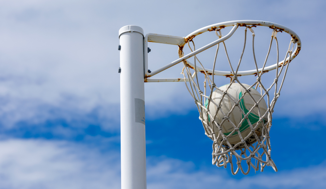 Fa’amāvae sui ‘o le Komiti Fa’atonu ‘o le Netipolo Niu Sila