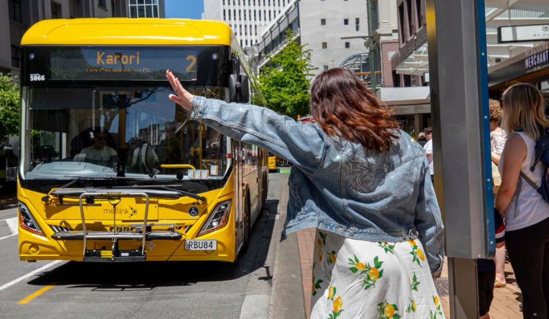 To’atele tagata ‘ua fa’aaogā pasi mō femalāga’iga