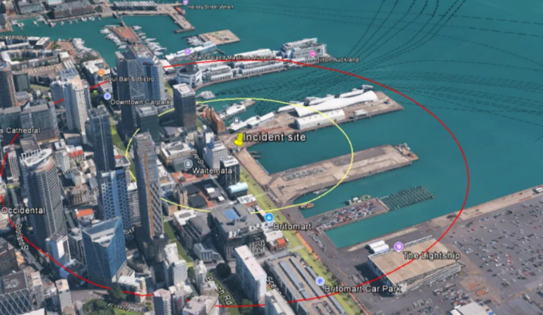 Maua le namu o le Larvae ‘i Aukilani