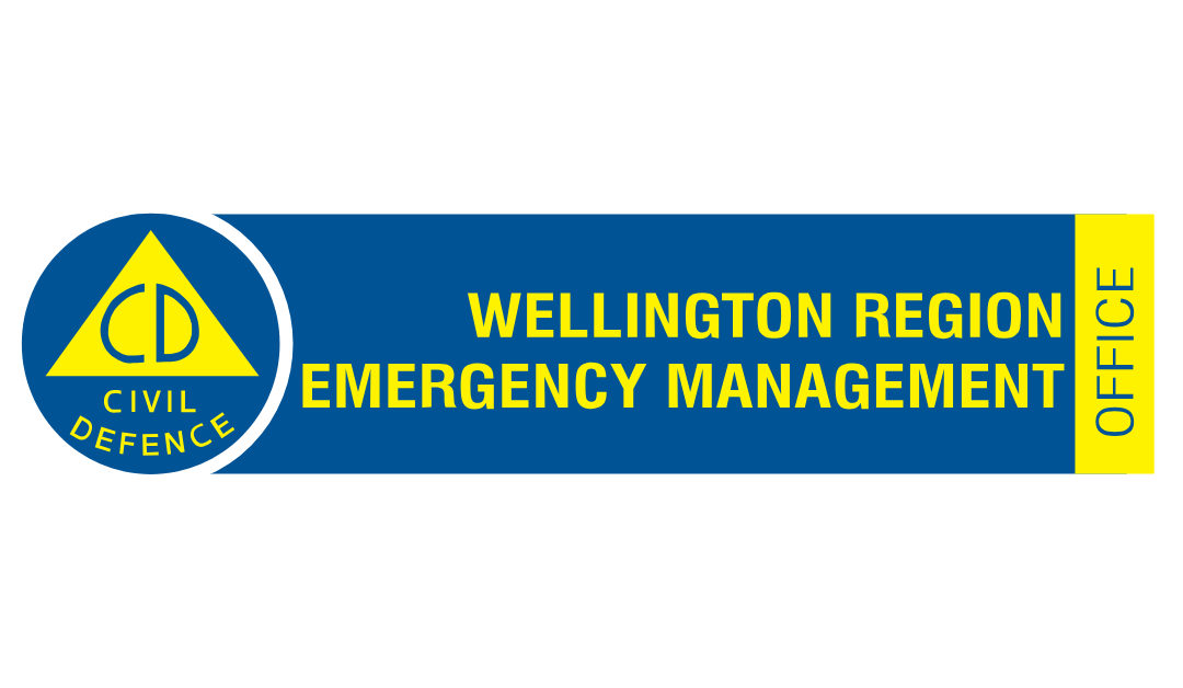 State of emergency declared for the Wellington region 