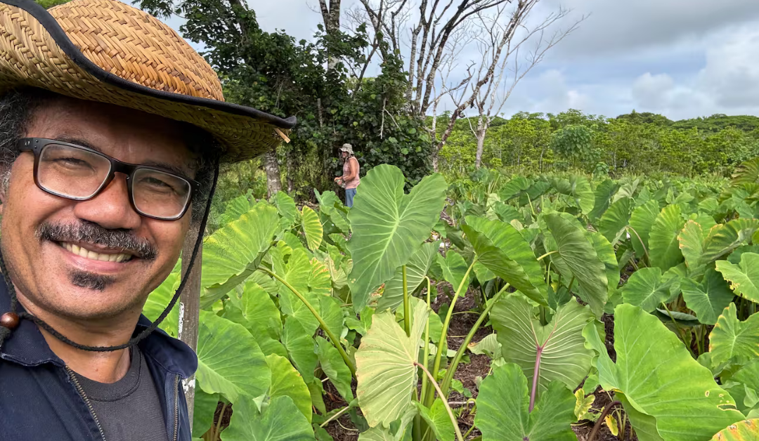 $75,000 taui ‘o ni tagata faigāluega ‘e to’alua ‘ona ‘ua soli ‘e le kamupanī māta’aga matagofie fa’a-Pasefika
