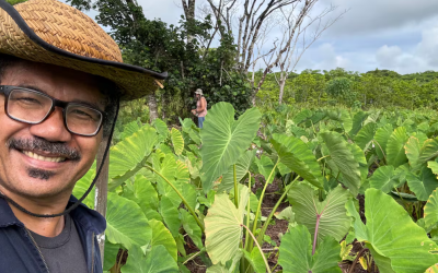 $75,000 taui ‘o ni tagata faigāluega ‘e to’alua ‘ona ‘ua soli ‘e le kamupanī māta’aga matagofie fa’a-Pasefika