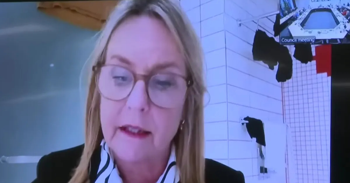 ‘We can see your washing’ Councillor joins meeting from bathroom