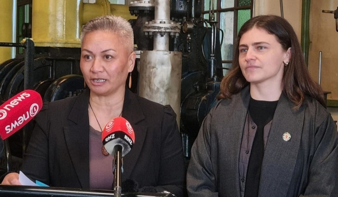 Mana’o le pātī ‘o le Greens ‘e feso’otai ‘a’ai ‘o Niu Sila ‘i nōfoaafi (trains)